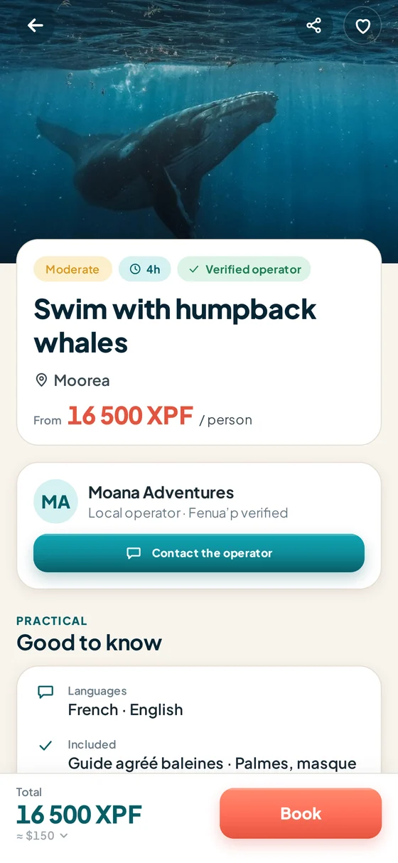 Swim with whales