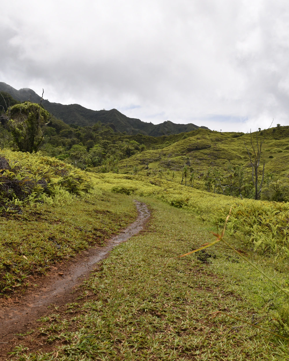 Nuku Hiva
