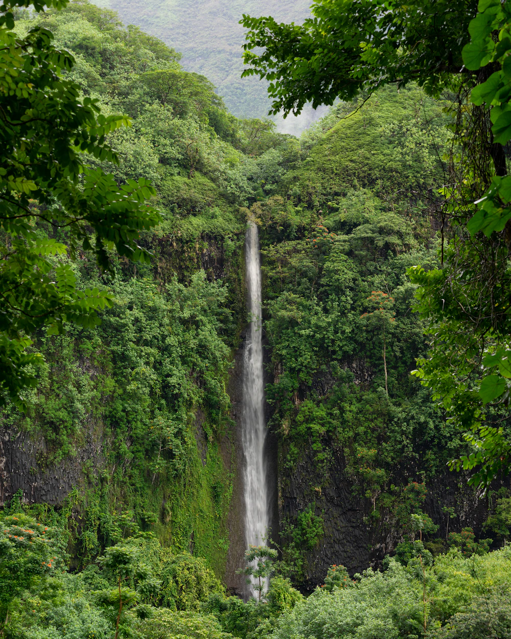 Tahiti